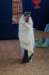 dsc02863_small.jpg