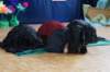 dsc02867_small.jpg